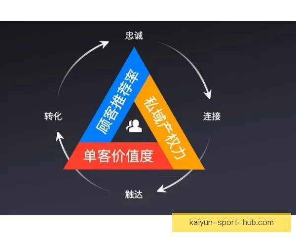 开云APP全面解析与实用功能指南助力用户高效体验